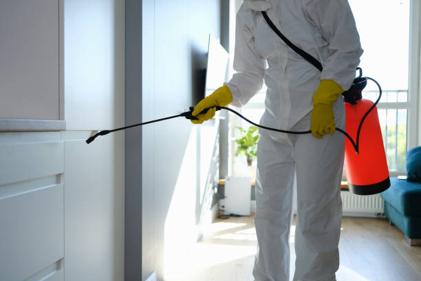 Best Preventive Mold Services in Finderne, NJ